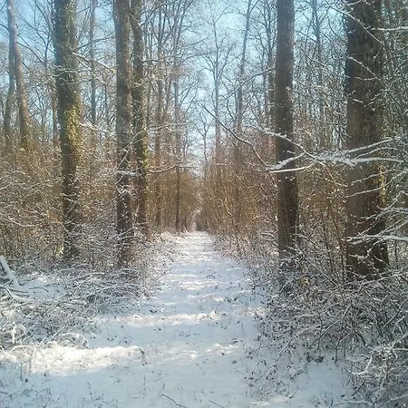 Domaine Du Clos Henri 3*