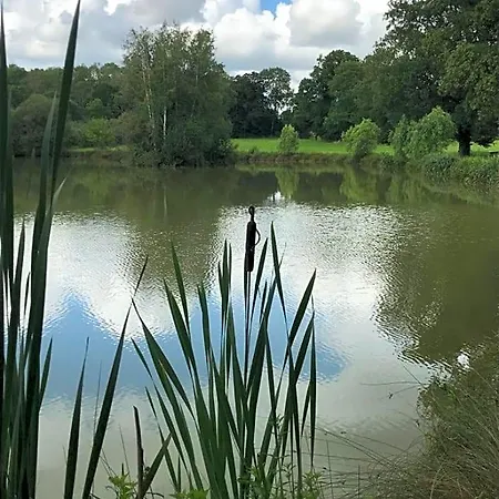 Domaine Du Clos Henri Essay