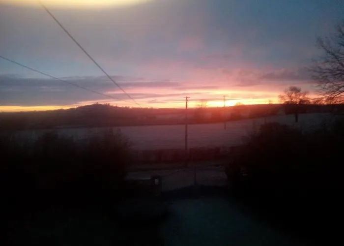 Domaine Du Clos Henri Essay