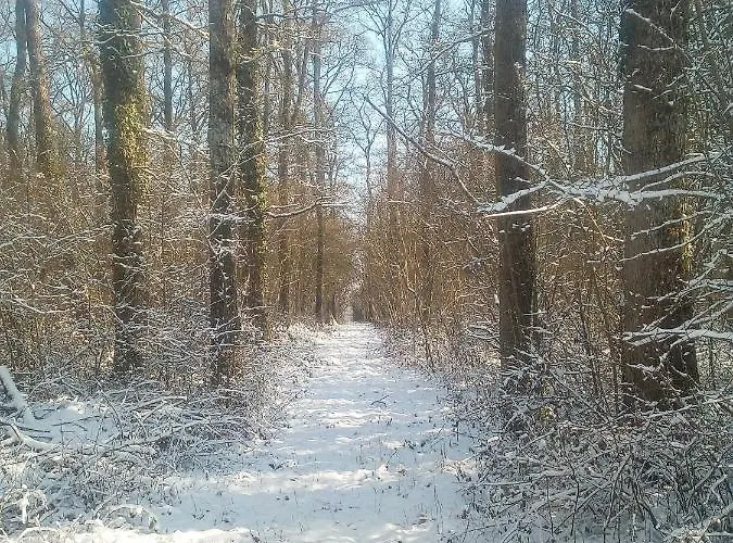 Domaine Du Clos Henri 3*