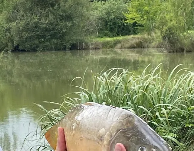 Couette-café Domaine Du Clos Henri